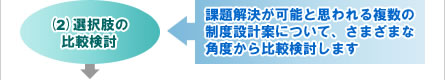 (2)選択肢の比較検討←課題解決が可能と思われる複数の制度設計案について、さまざまな角度から比較検討します