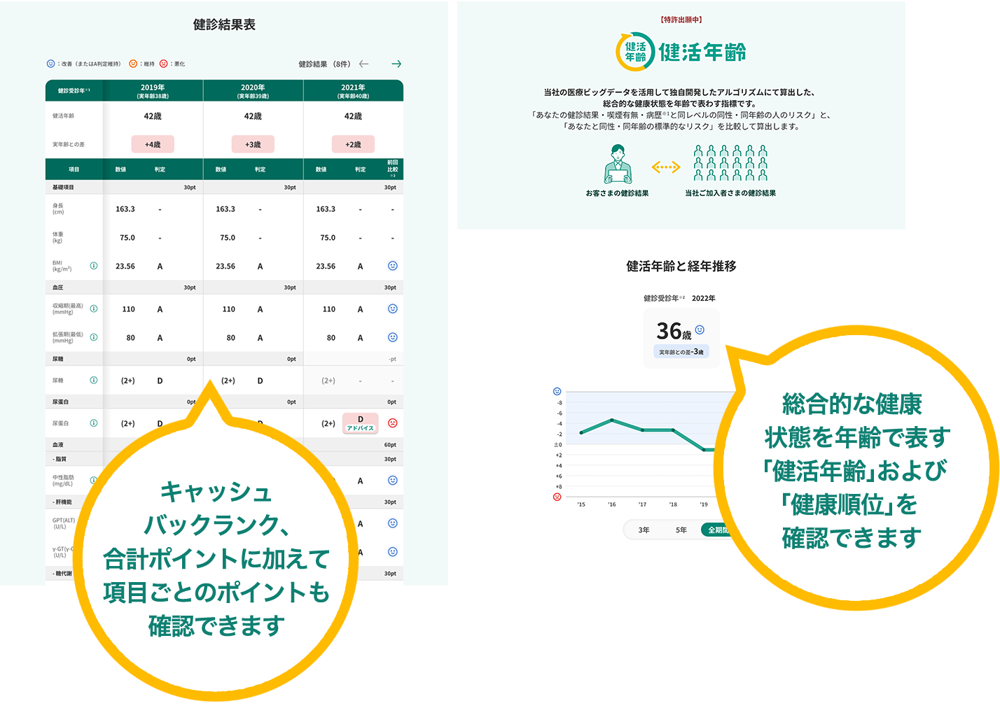 健診結果表の図：キャッシュバックランク、合計ポイントに加えて項目ごとのポイントも確認できます。 総合的な健康状態を年齢で表わす「健康年齢®」および「健康順位」を確認できます。