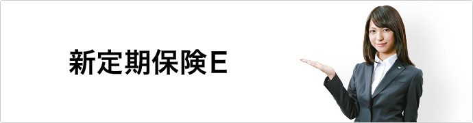 新定期保険E