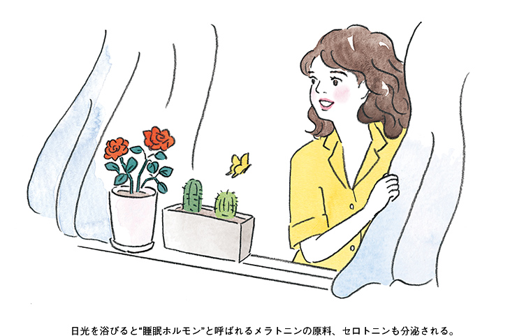 日光を浴びると“睡眠ホルモン”と呼ばれるメラトニンの原料、セロトニンも分泌される。