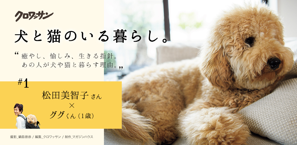 クロワッサン 犬と猫のいる暮らし。 “癒やし、愉しみ、生きる指針。あの人が犬や猫と暮らす理由。” #1 松田美智子さん × ググくん（１歳） 撮影_鍋島徳恭 / 編集_クロワッサン / 制作_マガジンハウス