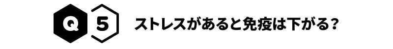 Q5 ストレスがあると免疫は下がる？