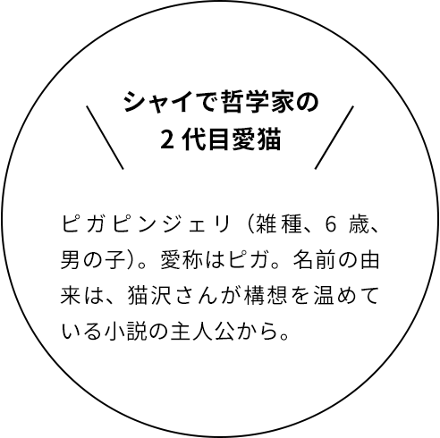 シャイで哲学家の2代目愛猫 ピガピンジェリ（雑種、6歳、男の子）。愛称はピガ。名前の由来は、猫沢さんが構想を温めている小説の主人公から。