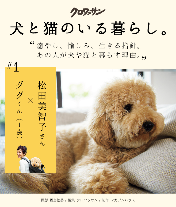 犬と猫のいる暮らし。『松田美智子さん×ググくん（1歳）』 | ライフ