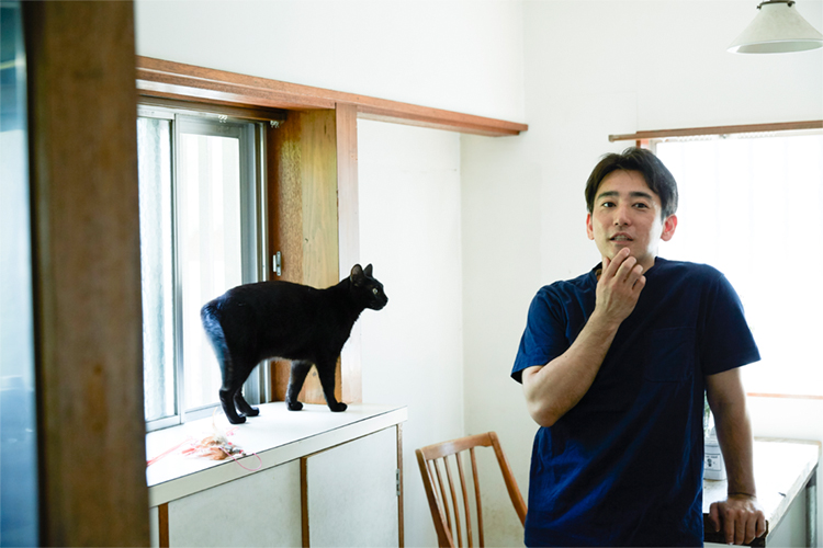 あのヒトの愛犬 愛猫に会いたい 17 8 犬と猫と 理想の暮らし ライフフィールドマガジン 明治安田生命 あのヒトの愛犬 愛猫に会いたい 17 8 犬と猫と 理想の暮らし ライフフィールドマガジン 明治安田生命