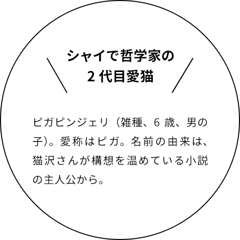 あのヒトの愛犬 愛猫に会いたい 17 11 犬と猫と 理想の暮らし ライフフィールドマガジン 明治安田生命
