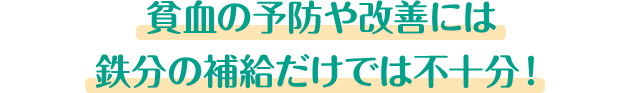 貧血の予防や改善には鉄分の補給だけでは不十分!
