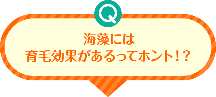 Q 海藻には育毛効果があるってホント!?