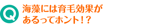 Q 海藻には育毛効果があるってホント！？
