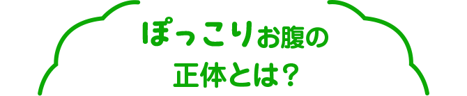 ぽっこりお腹の正体とは？