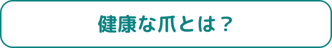 健康な爪とは?