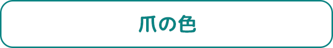 爪の色