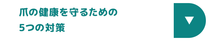 爪の健康を守るための5つの対策