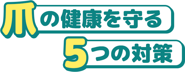 爪の健康を守る5つの対策
