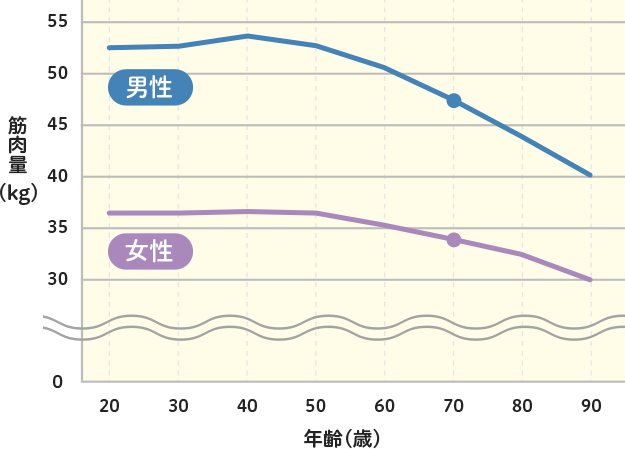 年齢による日本人の筋肉量の変化のグラフ