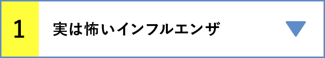 1 実は怖いインフルエンザ