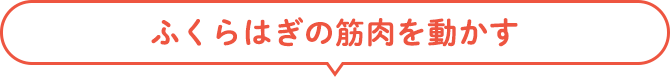ふくらはぎの筋肉を動かす