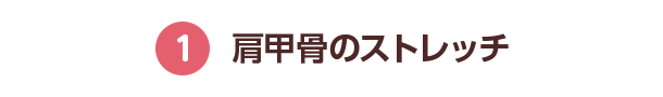 1 肩甲骨のストレッチ