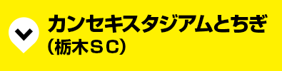 カンセキスタジアムとちぎ(栃木ＳＣ)