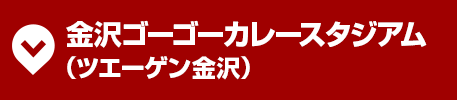 金沢ゴーゴーカレースタジアム(ツエーゲン金沢)