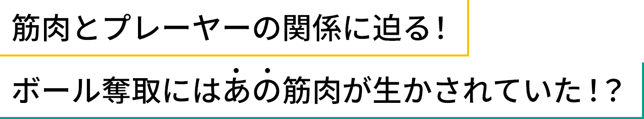 筋肉とプレーヤーの関係に迫る!ボール奪取にはあの筋肉が生かされていた!?