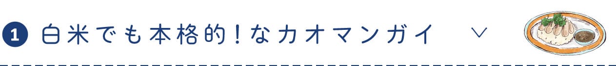 白米でも本格的！なカオマンガイ