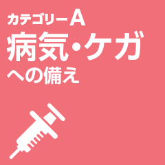 カテゴリーA 病気・ケガへの備え