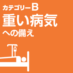 カテゴリーB 重い病気への備え
