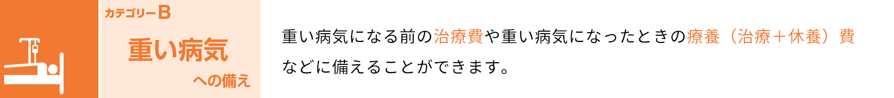 カテゴリーB 重い病気への備え 重い病気になる前の治療費や重い病気になったときの療養（治療＋休養）費などに備えることができます。