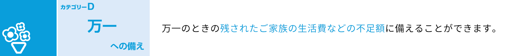 カテゴリーD 万一への備え 万一のときの残されたご家族の生活費などの不足額に備えることができます。