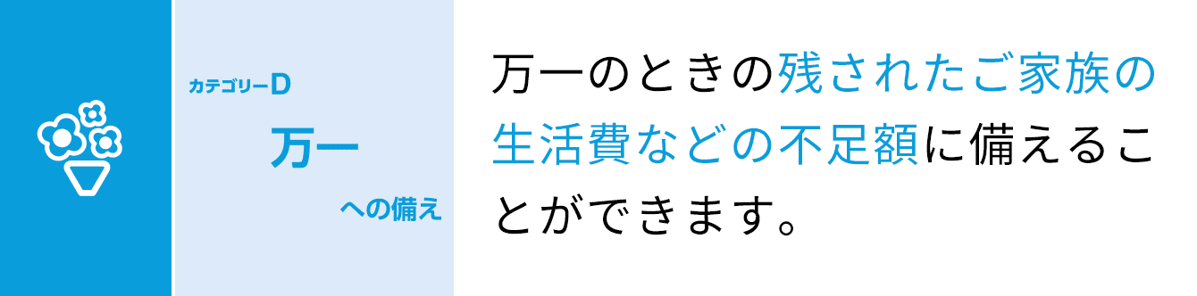 カテゴリーD 万一への備え 万一のときの残されたご家族の生活費などの不足額に備えることができます。