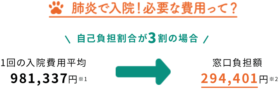 肺炎で入院!必要な費用って? 自己負担割合が3割の場合、1回の入院費用平均981,337円⇒窓口負担額294,401円