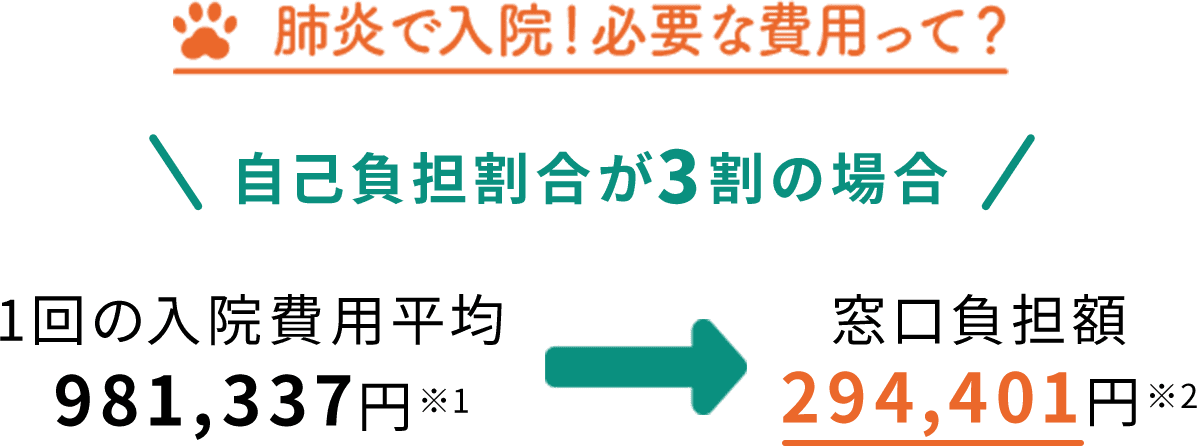 肺炎で入院!必要な費用って? 自己負担割合が3割の場合、1回の入院費用平均981,337円⇒窓口負担額294,401円