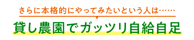 さらに本格的にやってみたいという人は……貸し農園でガッツリ自給自足