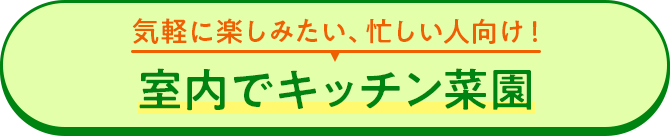気軽に楽しみたい、忙しい人向け！室内でキッチン菜園