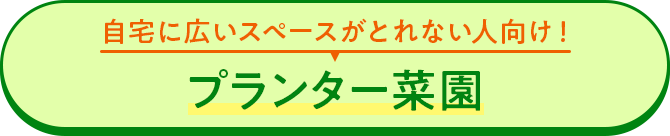 自宅に広いスペースがとれない人向け！プランター菜園