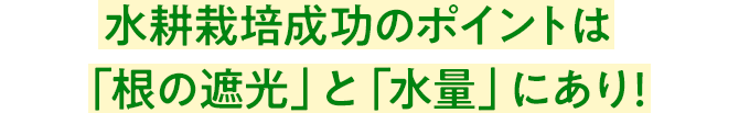 水耕栽培成功のポイントは「根の遮光」と「水量」にあり!