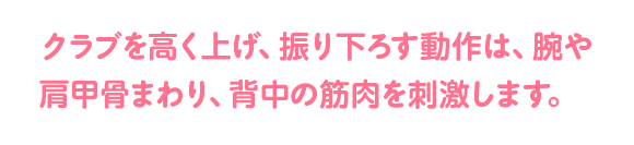 クラブを高く上げ、振り下ろす動作は、腕や肩甲骨まわり、背中の筋肉を刺激します。