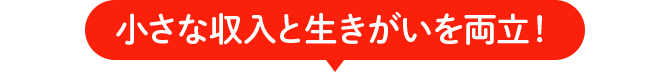小さな収入と生きがいを両立！