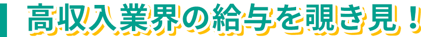 高収入業界の給与を覗き見！