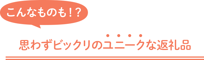 こんなものも！？ 思わずビックリのユニークな返礼品