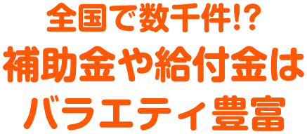 全国で数千件!? 補助金や給付金はバラエティ豊富