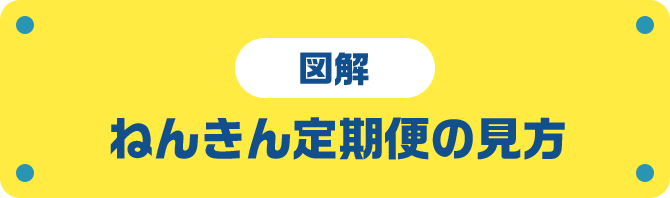 図解 ねんきん定期便の見方