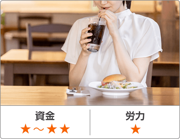 資金★~★★ 労力★