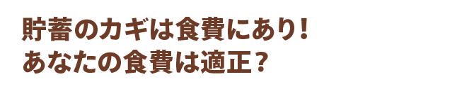 貯蓄のカギは食費にあり！あなたの食費は適正？