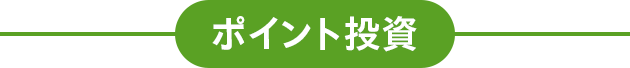 ポイント投資