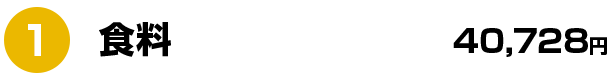 1 食料 40,728円