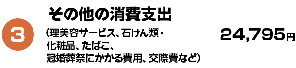 3 その他の消費支出（理美容サービス、石けん類・化粧品、たばこ、冠婚葬祭にかかる費用、交際費など） 24,795円