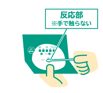 反応部※手で触らない