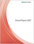 Image of Annual Report 2013